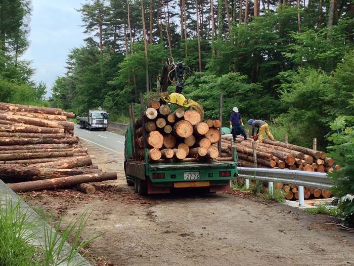 事業に使用する木材のトレーサビリティ確保