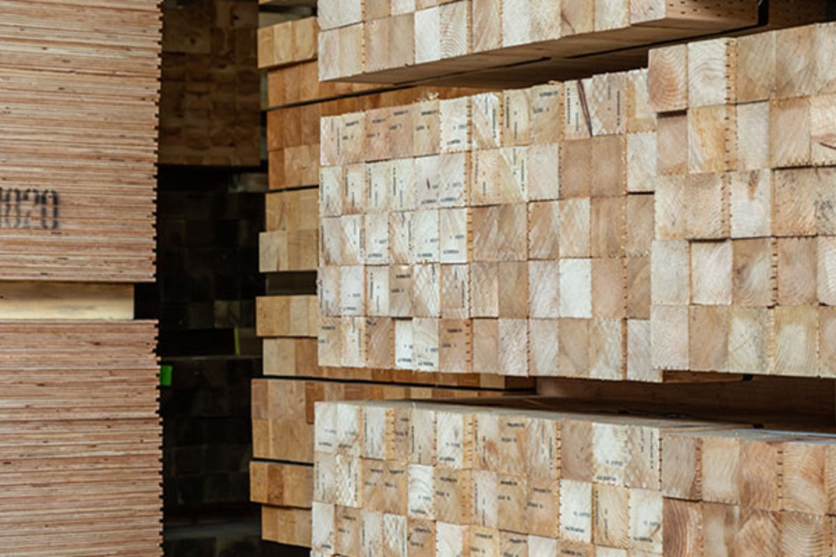 サスティナブルな資源「木」の活用で脱炭素社会を実現する